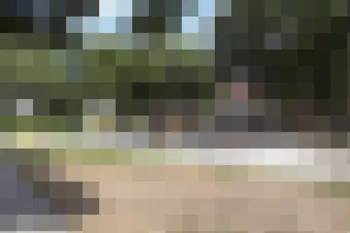 Harmonielaan 22 Someren thumbnail 47