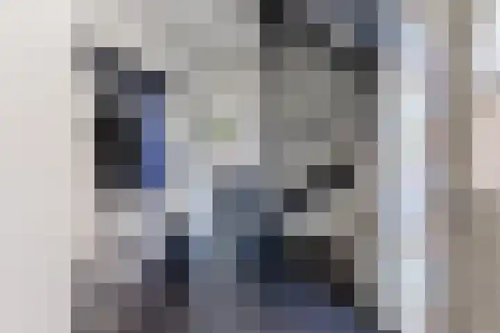 Harmonielaan 22 Someren thumbnail 6