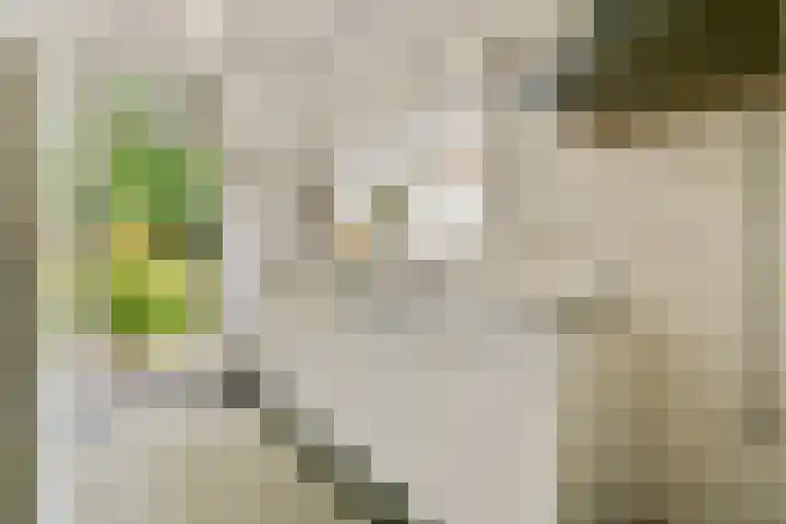 Harmonielaan 29 Zeist thumbnail 12