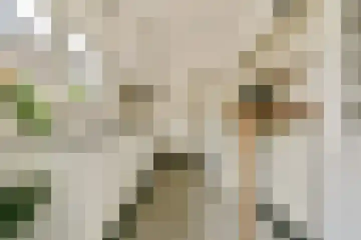 Harmonielaan 29 Zeist thumbnail 13