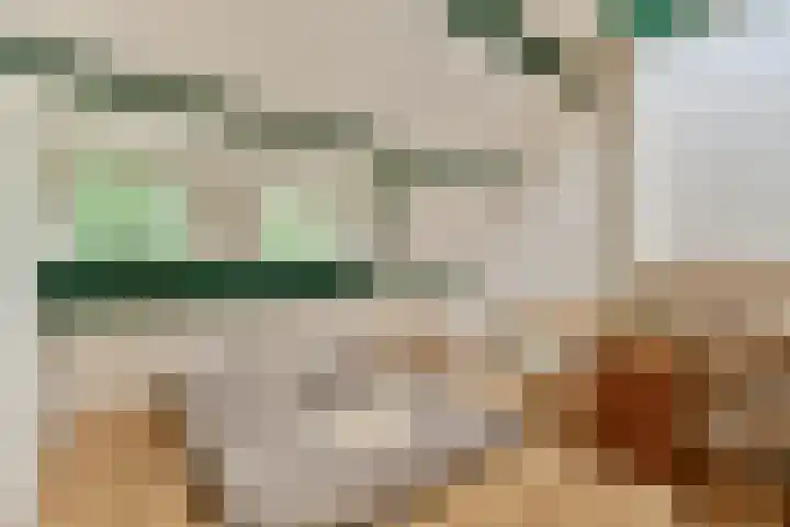 Harmonielaan 29 Zeist thumbnail 22