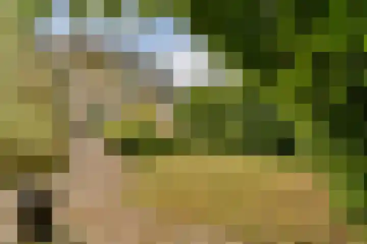 Harmonielaan 29 Zeist thumbnail 26