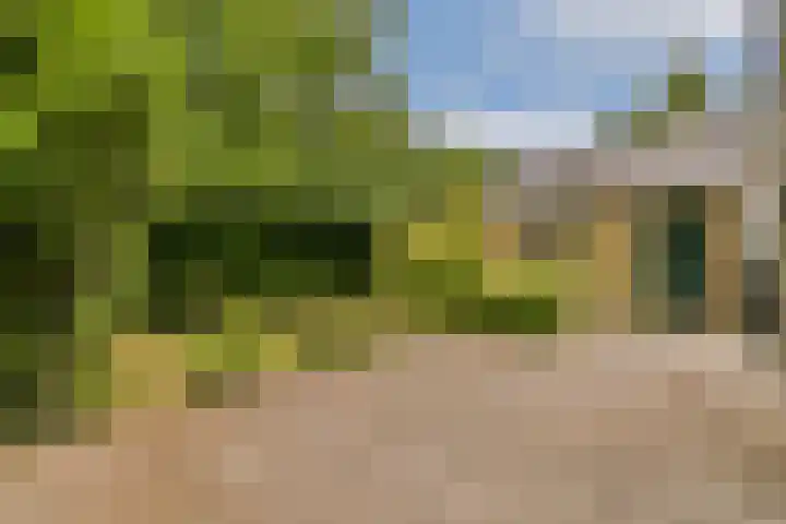 Harmonielaan 29 Zeist thumbnail 29