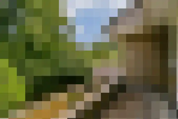 Harmonielaan 29 Zeist thumbnail 30