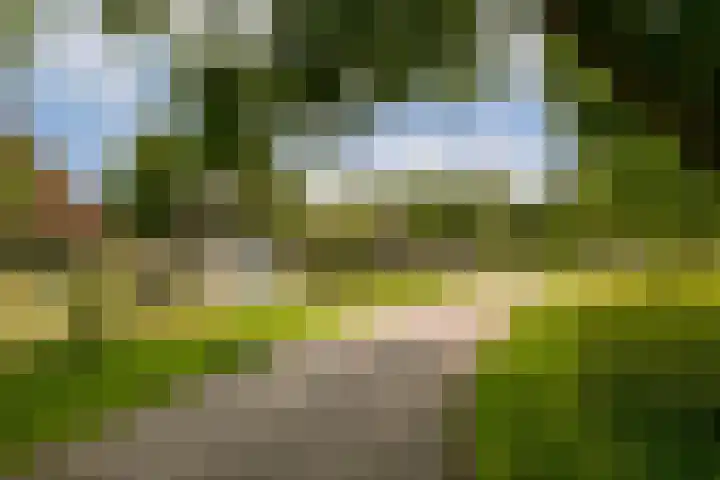 Harmonielaan 29 Zeist thumbnail 31