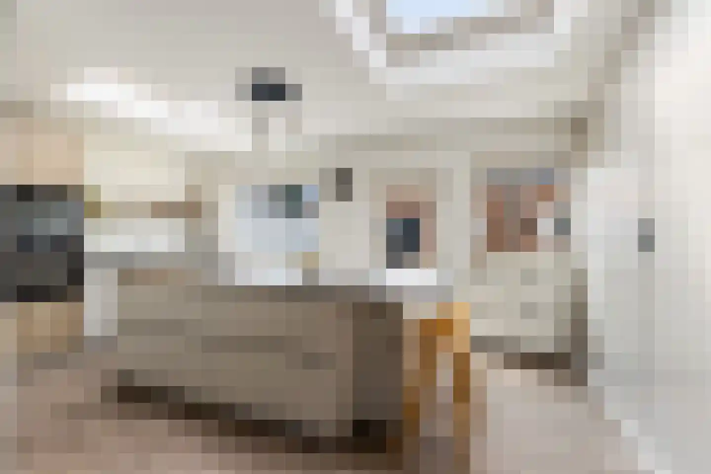 Harmonielaan 36 Prinsenbeek foto 3