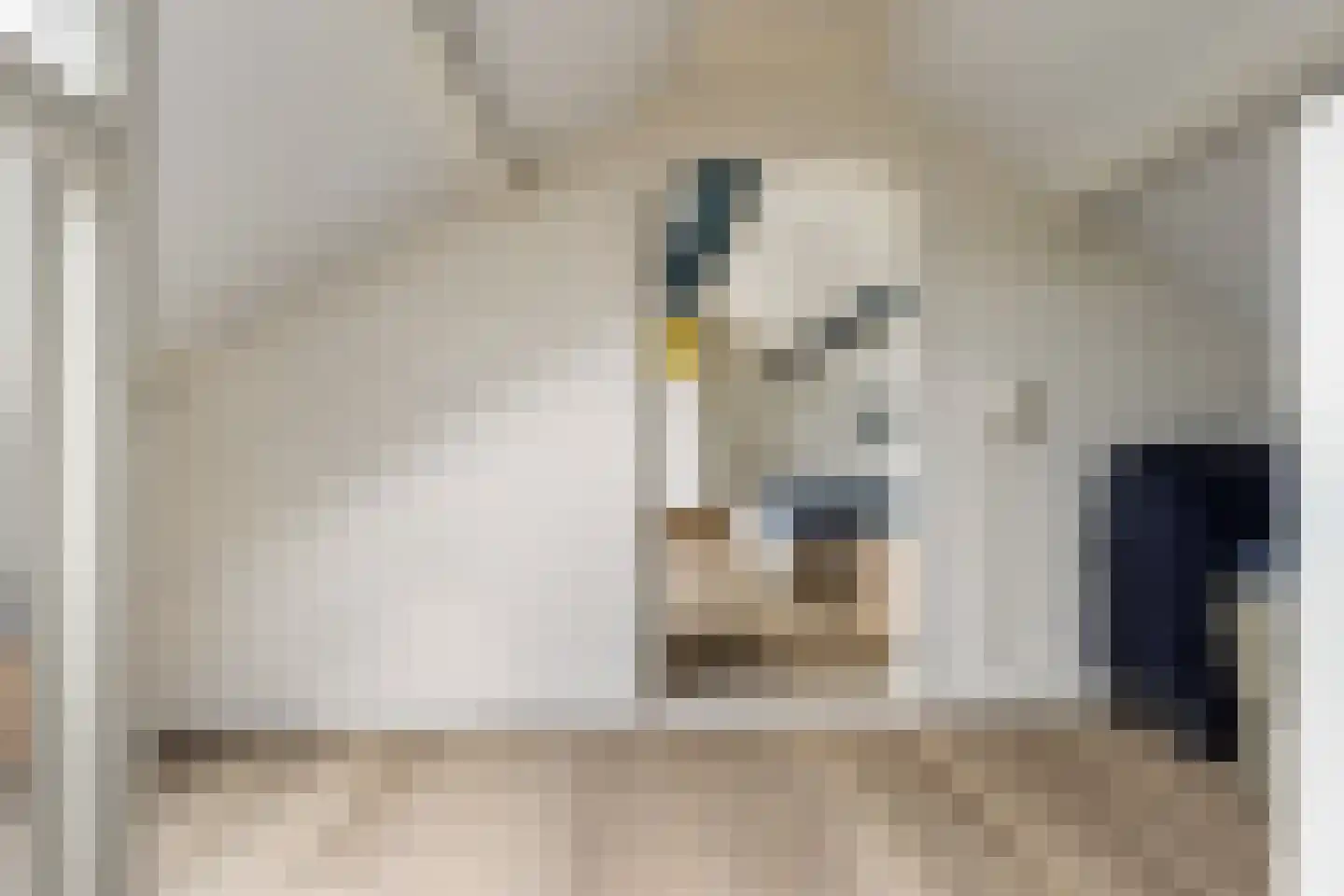 Harmonielaan 36 Prinsenbeek thumbnail 32