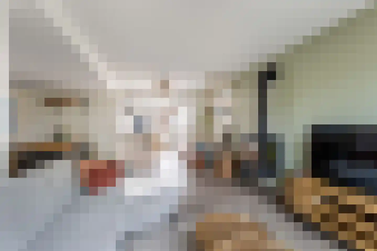 Harmonielaan 36 Prinsenbeek thumbnail 4