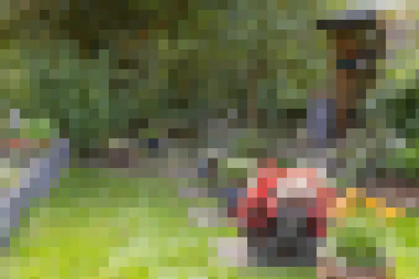 Harmonielaan 38 Nieuwegein thumbnail 21