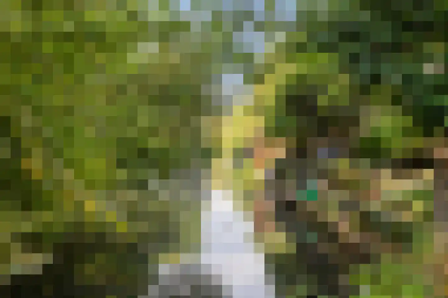 Harmonielaan 38 Nieuwegein thumbnail 22