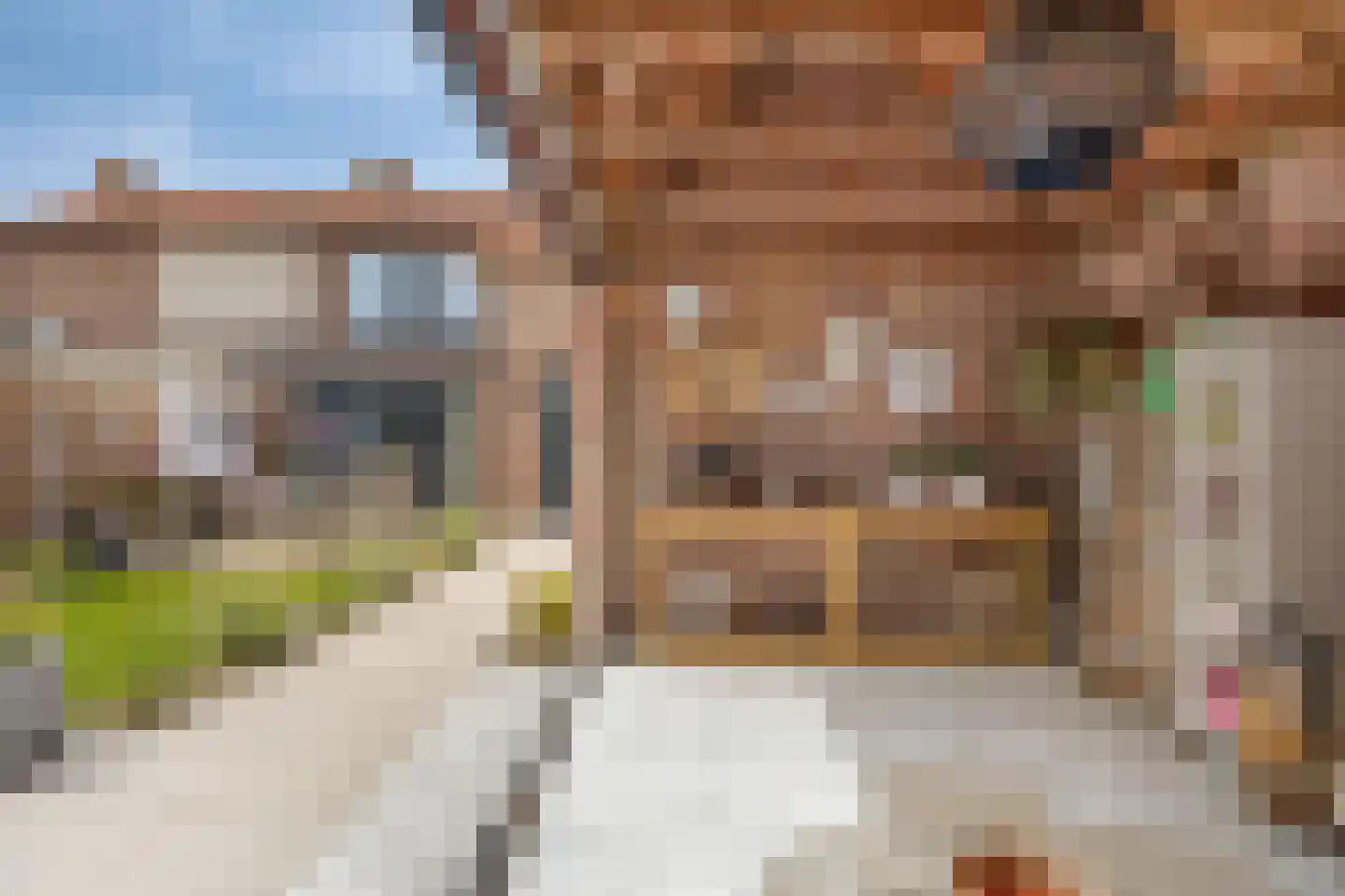 Harmonielaan 39 Prinsenbeek thumbnail 26