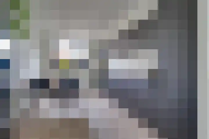 Harmonielaan 70 Nieuwegein thumbnail 15
