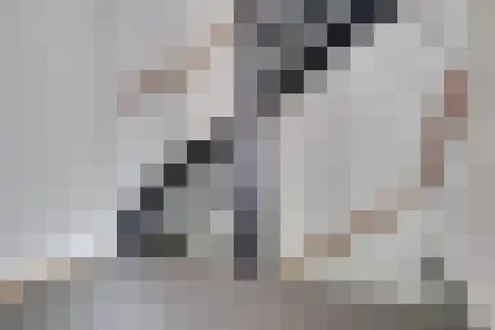 Harmonielaan 70 Nieuwegein thumbnail 30