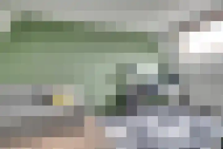Harmonielaan 70 Nieuwegein thumbnail 33