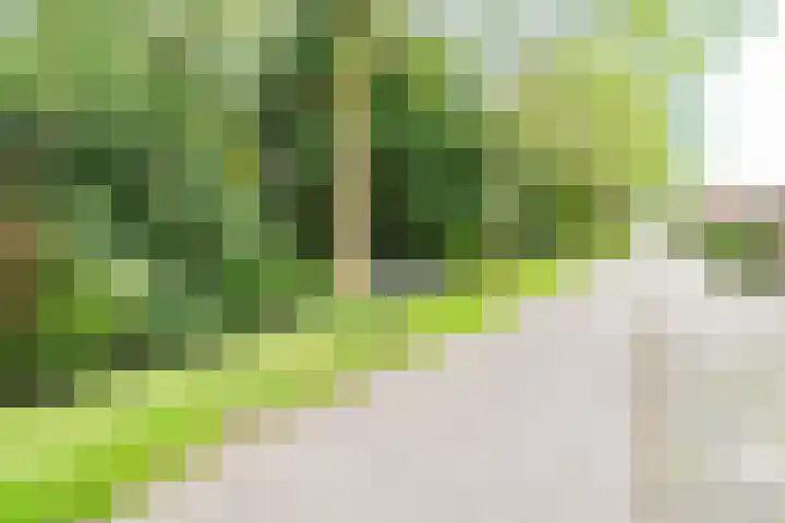 Harmonielaan 70 Nieuwegein thumbnail 37