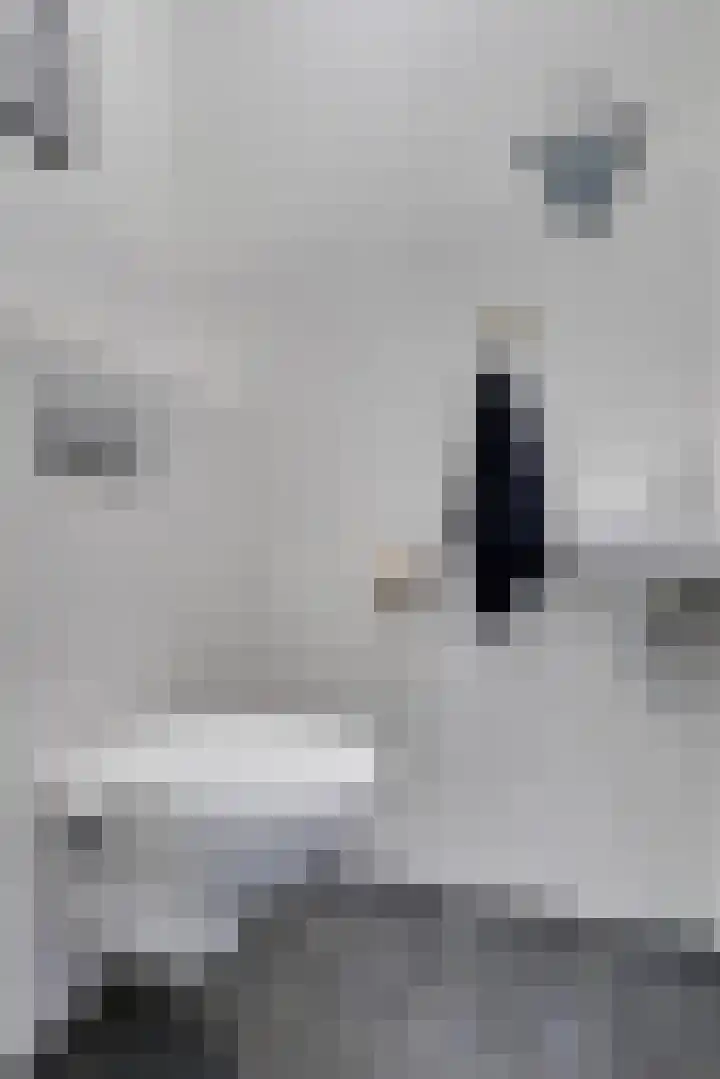 Harmonielaan 70 Nieuwegein thumbnail 4