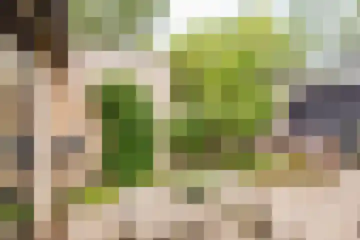 Harmonielaan 70 Nieuwegein thumbnail 9