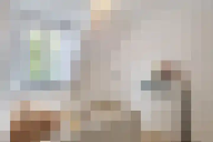 Harmonieplein 1 Dongen thumbnail 22