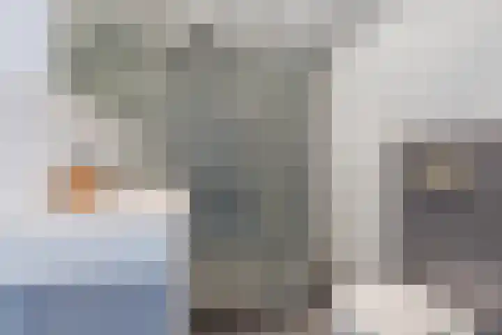 Harmonieplein 1 Dongen thumbnail 26