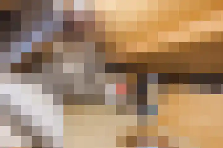Harmonieplein 1 Dongen thumbnail 28