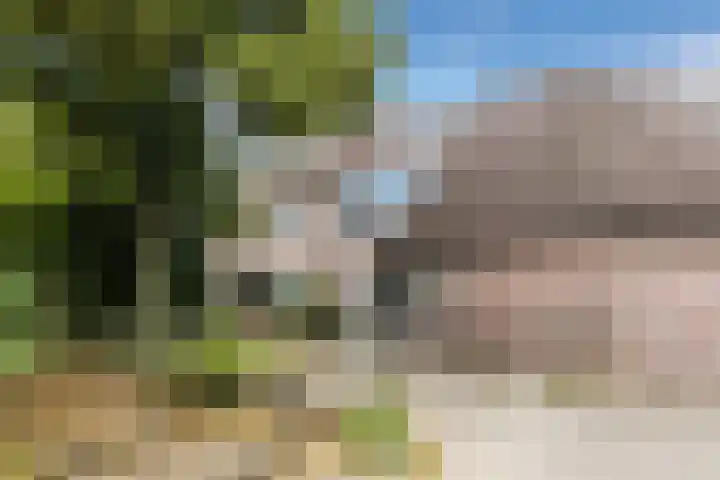 Harmonieplein 1 Dongen thumbnail 29