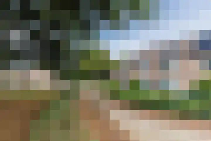 Harmonieplein 1 Dongen thumbnail 31