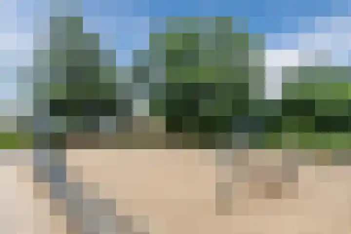 Harmonieplein 1 Dongen thumbnail 32