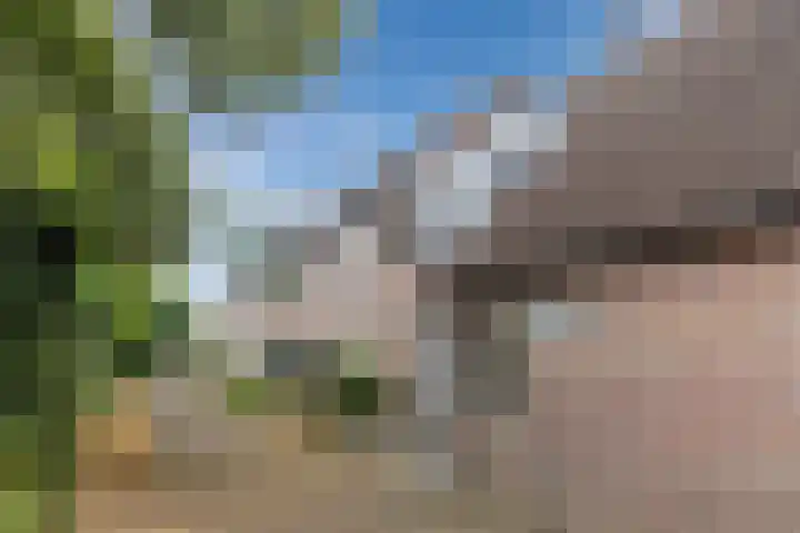 Harmonieplein 1 Dongen thumbnail 6