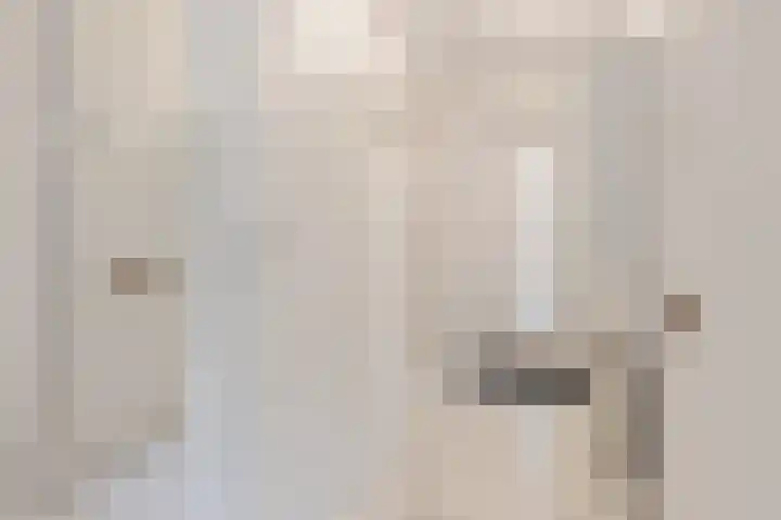 Harmonieplein 1 Dongen thumbnail 8
