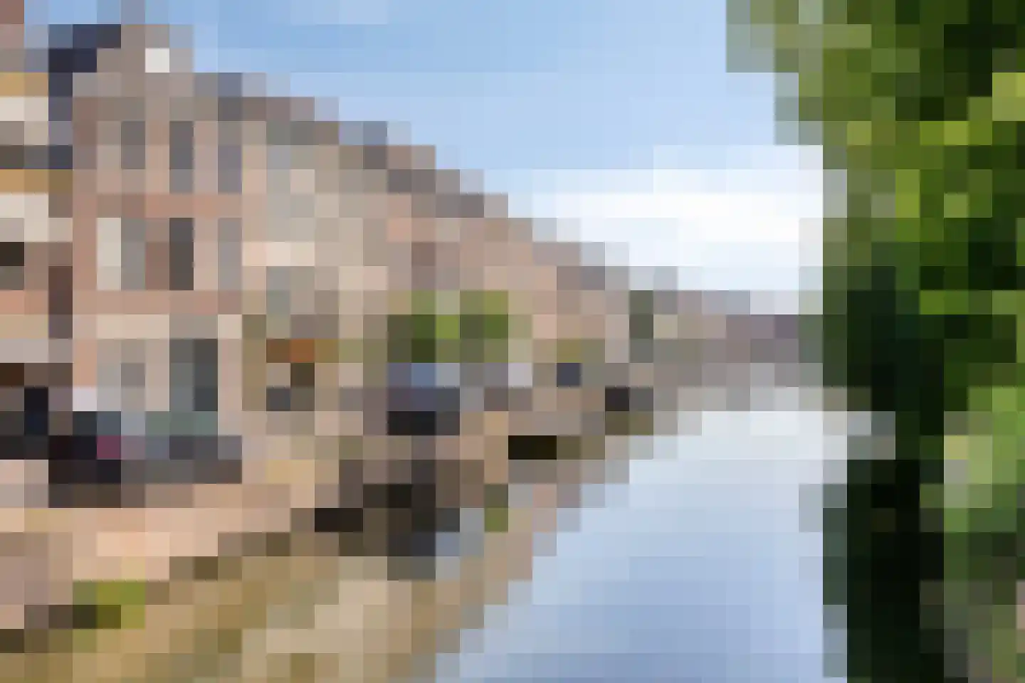 Harmonieplein 129 Maarssen thumbnail 30