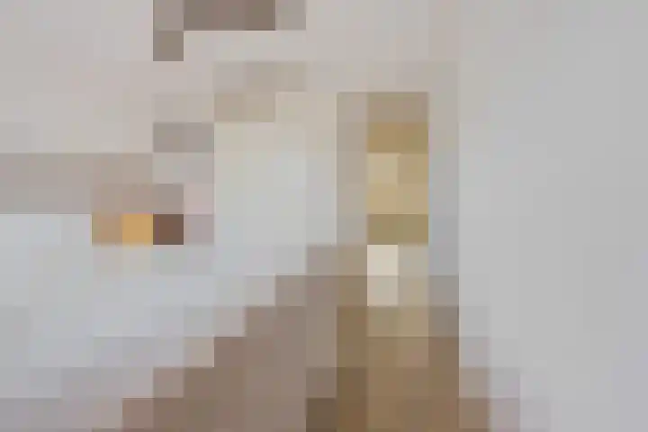 Harmonieplein 131 Maarssen thumbnail 12