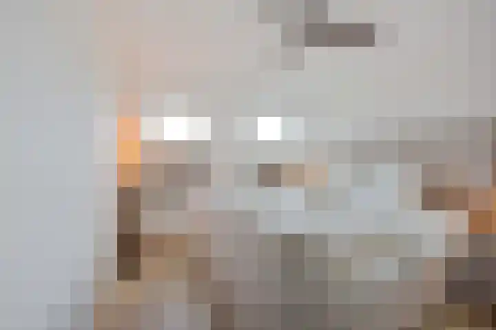 Harmonieplein 131 Maarssen thumbnail 13