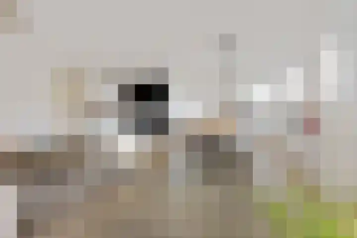 Harmonieplein 131 Maarssen thumbnail 4