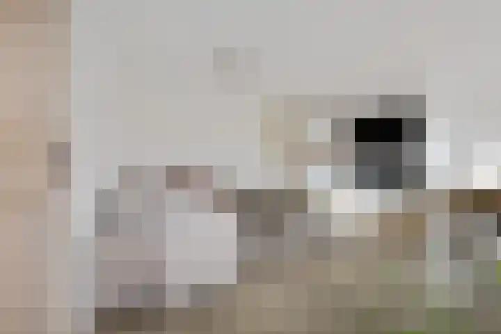 Harmonieplein 131 Maarssen thumbnail 5