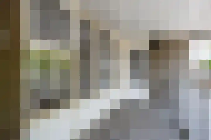 Harmonieplein 63 Maarssen thumbnail 29