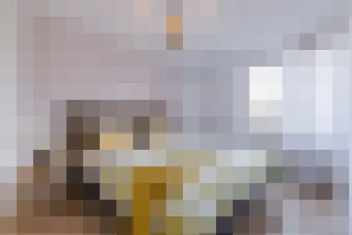 Harmonieplein 77 Maarssen thumbnail 17