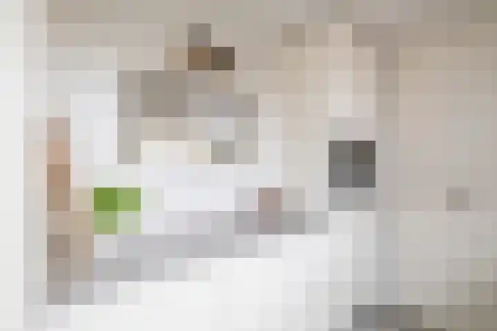 Harmoniepolder 179 's-Hertogenbosch thumbnail 13