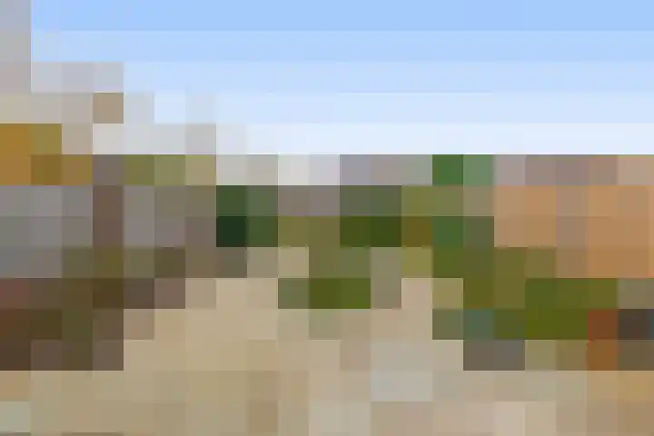 Harmoniepolder 179 's-Hertogenbosch thumbnail 14