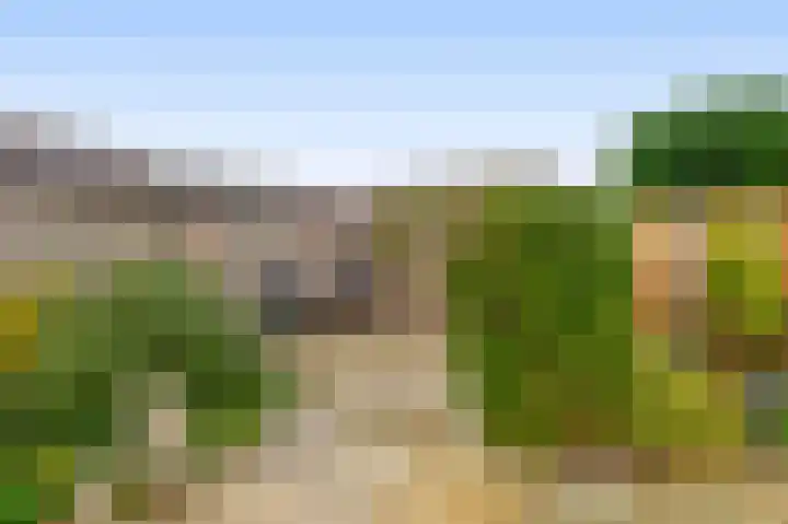 Harmoniepolder 179 's-Hertogenbosch thumbnail 15