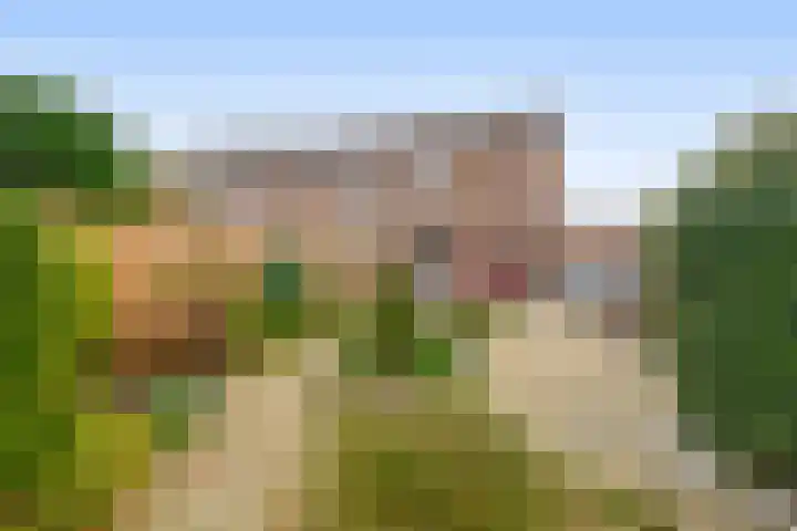 Harmoniepolder 179 's-Hertogenbosch thumbnail 16