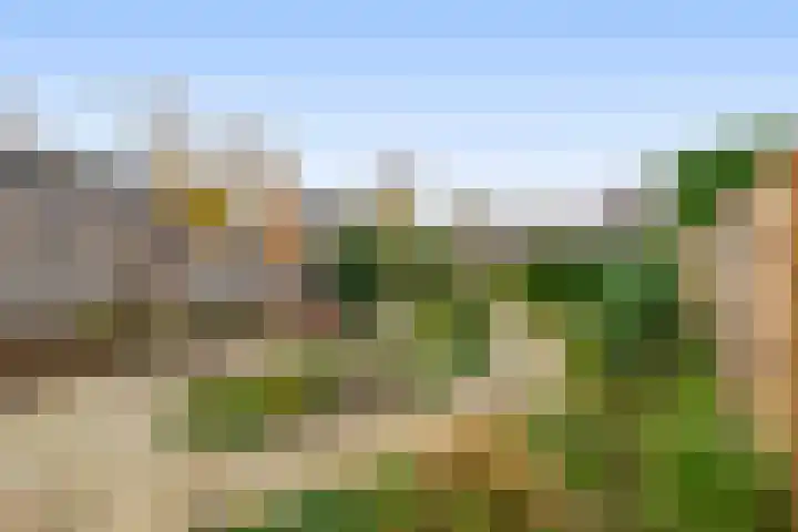 Harmoniepolder 179 's-Hertogenbosch thumbnail 17
