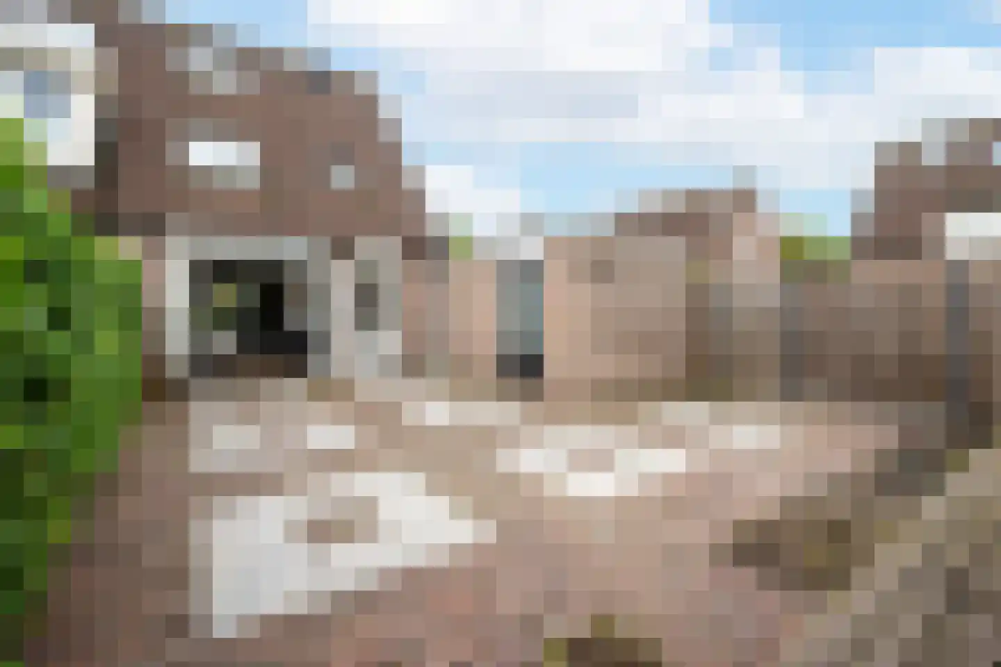 Harmoniepolder 19 's-Hertogenbosch thumbnail 19