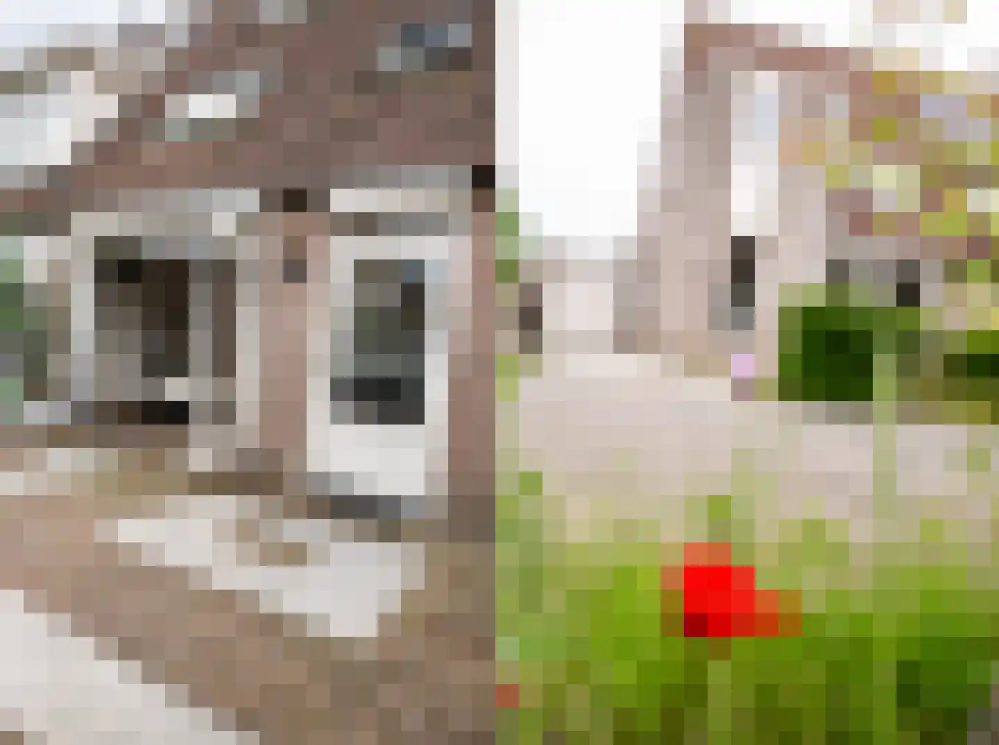 Harmoniepolder 19 's-Hertogenbosch thumbnail 24