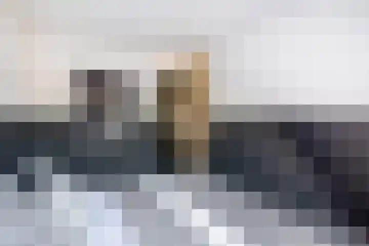 Harmoniepolder 98 's-Hertogenbosch thumbnail 17
