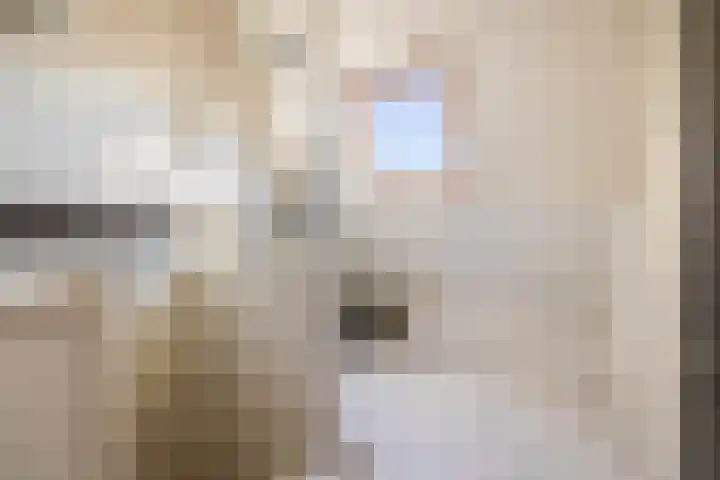 Harmoniepolder 98 's-Hertogenbosch thumbnail 22