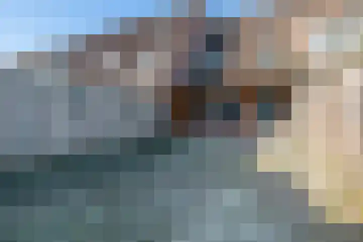 Harmoniepolder 98 's-Hertogenbosch thumbnail 24