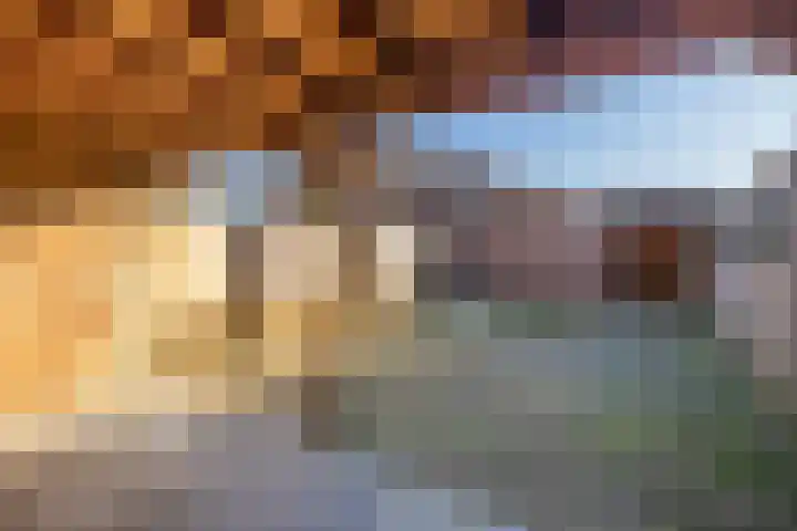 Harmoniepolder 98 's-Hertogenbosch thumbnail 26