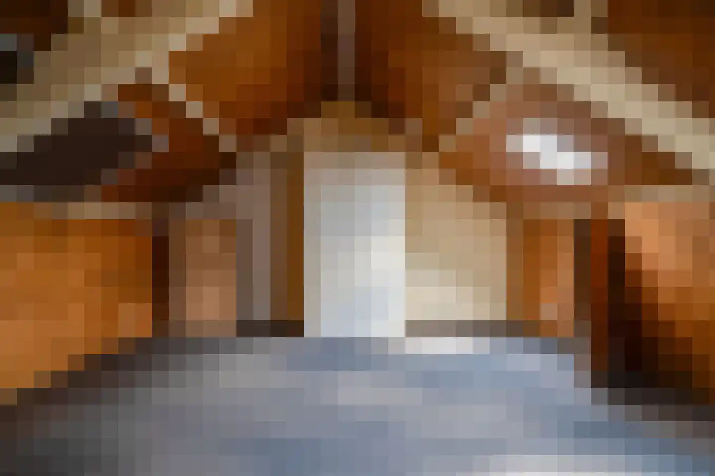 Harmoniestraat 11 Helmond thumbnail 32