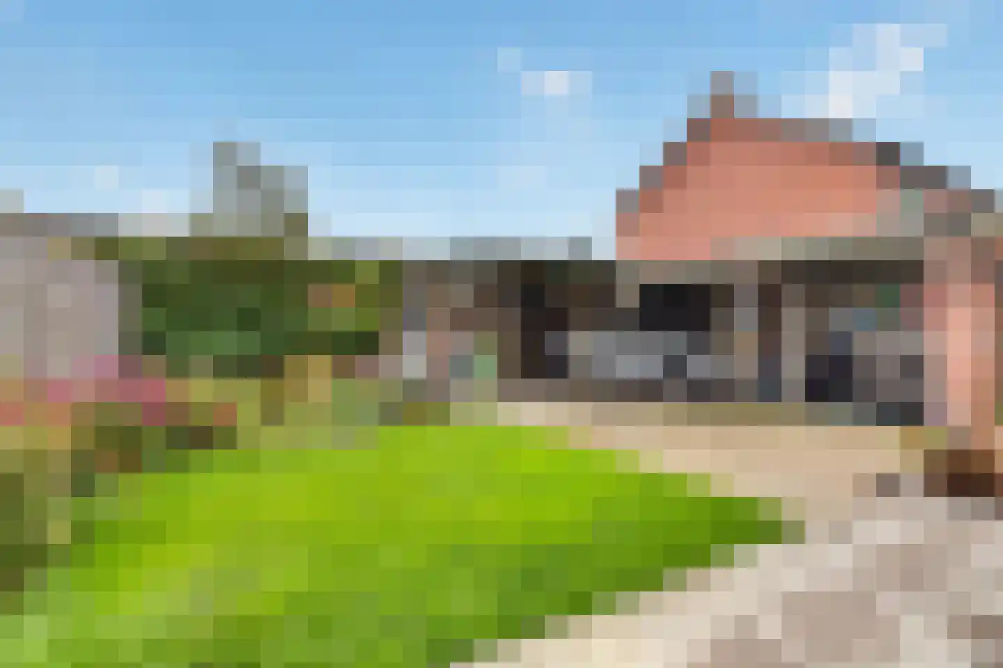 Harmoniestraat 12 Helmond thumbnail 35