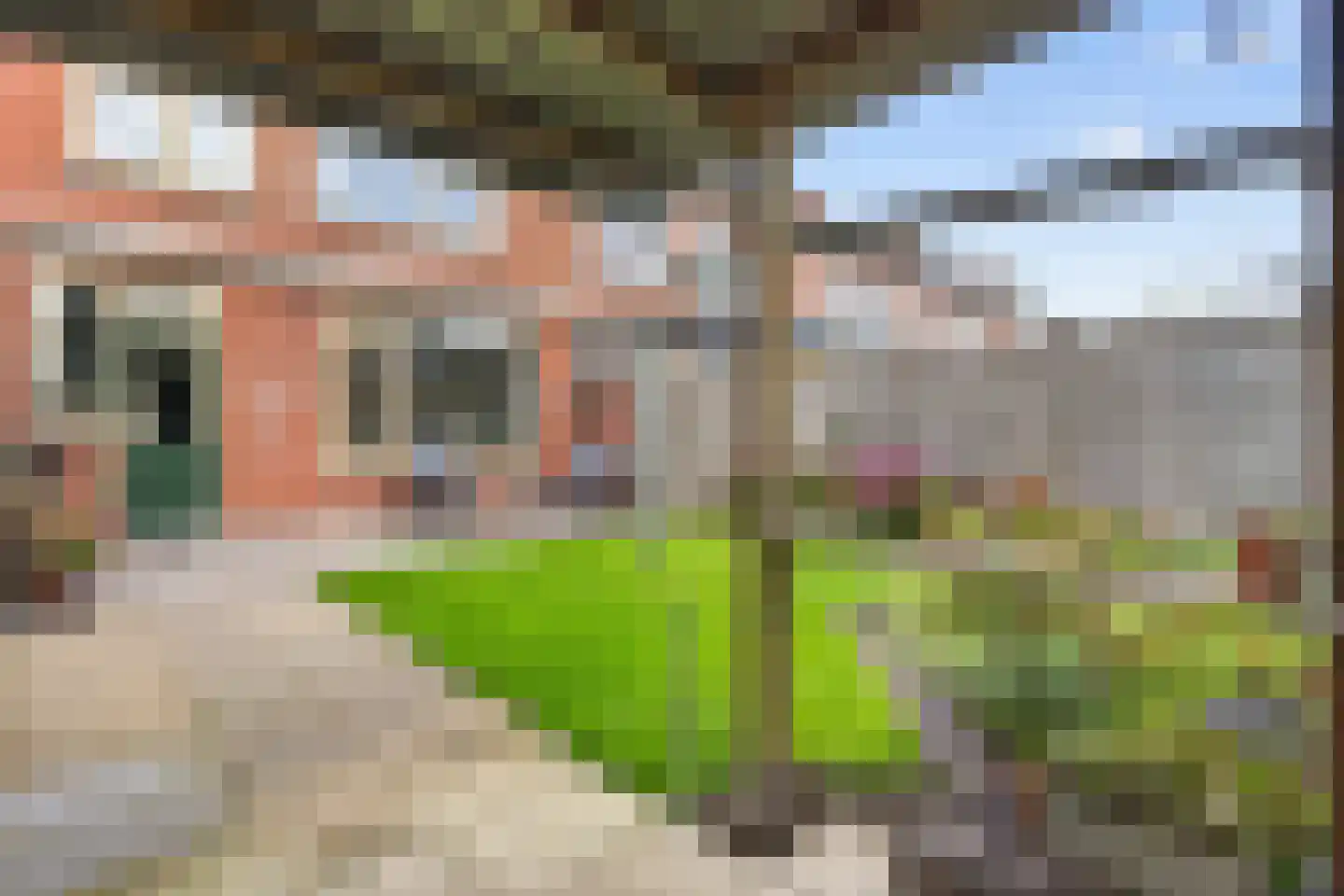 Harmoniestraat 12 Helmond thumbnail 36